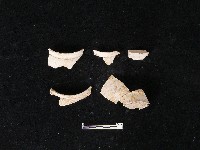 陶壺藏品圖，第2張