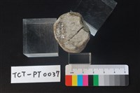 陶蓋鈕藏品圖，第3張