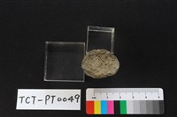 陶蓋鈕藏品圖，第3張
