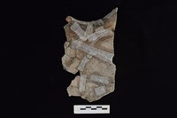 陶罐藏品圖，第2張