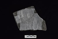 陶片藏品圖，第2張