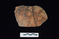 陶片藏品圖，第1張