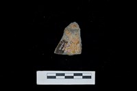 陶片藏品圖，第2張