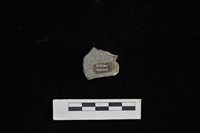 陶片藏品圖，第2張