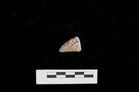 陶片藏品圖，第1張