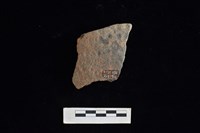 陶片藏品圖，第1張