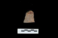 陶片藏品圖，第2張