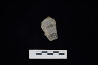 陶片藏品圖，第2張