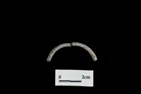 陶環藏品圖，第1張