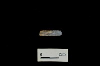 陶環藏品圖，第1張