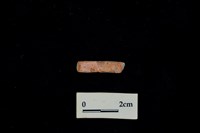 陶環藏品圖，第2張