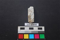 錛鑿形器藏品圖，第2張