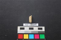 錛鑿形器藏品圖，第2張