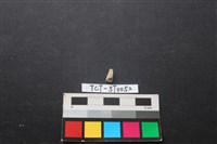 帶加工痕玉材藏品圖，第1張