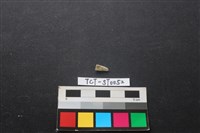 帶加工痕玉材藏品圖，第2張