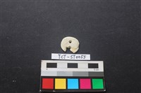 玉飾藏品圖，第2張