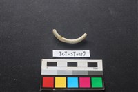 玉玦藏品圖，第1張