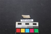 玉環藏品圖，第2張