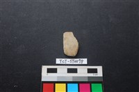 矛鏃形器藏品圖，第1張