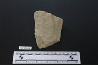 斧鋤形器藏品圖，第2張