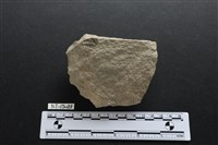 斧鋤形器藏品圖，第2張