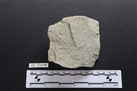 斧鋤形器藏品圖，第2張