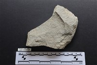 斧鋤形器藏品圖，第1張