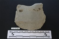 磨製斧鋤形器藏品圖，第1張