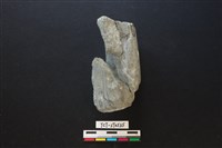 有槽石棒藏品圖，第2張