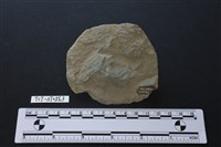 石片器藏品圖，第2張