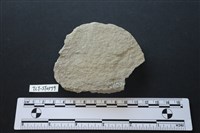 石片器藏品圖，第2張