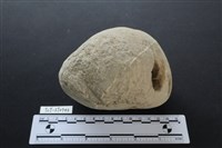 石鎚藏品圖，第3張