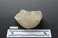 石鎚藏品圖，第2張