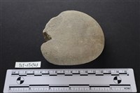石鎚藏品圖，第2張