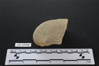 石鎚藏品圖，第2張