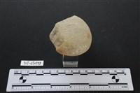 石鎚藏品圖，第3張
