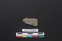 磨製石器藏品圖，第2張