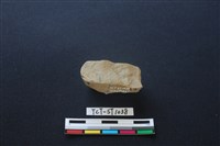 錛鑿形器藏品圖，第4張