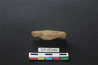 錛鑿形器藏品圖，第4張