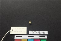 玉鈴藏品圖，第1張