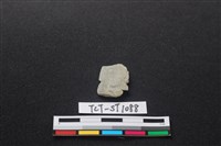 矛鏃形器藏品圖，第1張