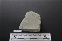 斧鋤形器藏品圖，第3張