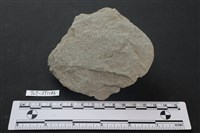 斧鋤形器藏品圖，第2張