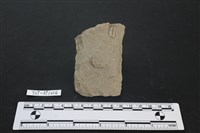 斧鋤形器藏品圖，第2張