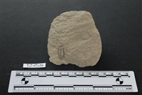 石片器藏品圖，第2張