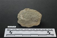 石片器藏品圖，第2張