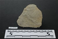 石片器藏品圖，第2張