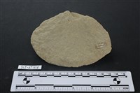 石片器藏品圖，第2張