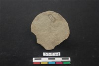 石片器藏品圖，第2張