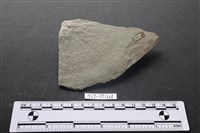 石片器藏品圖，第2張
